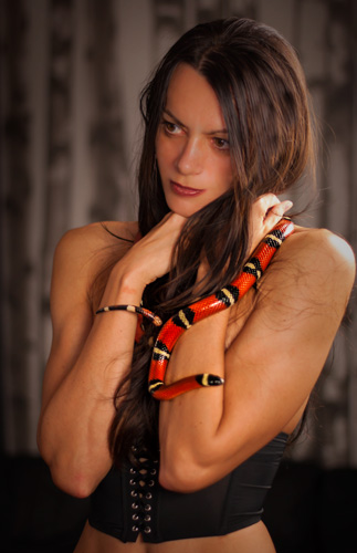 Queensnake photo