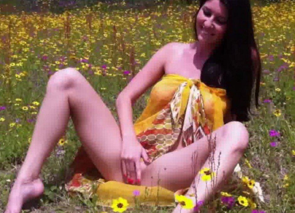 Field of Flowers