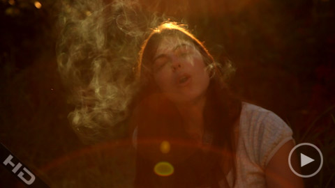 honey hunting 1