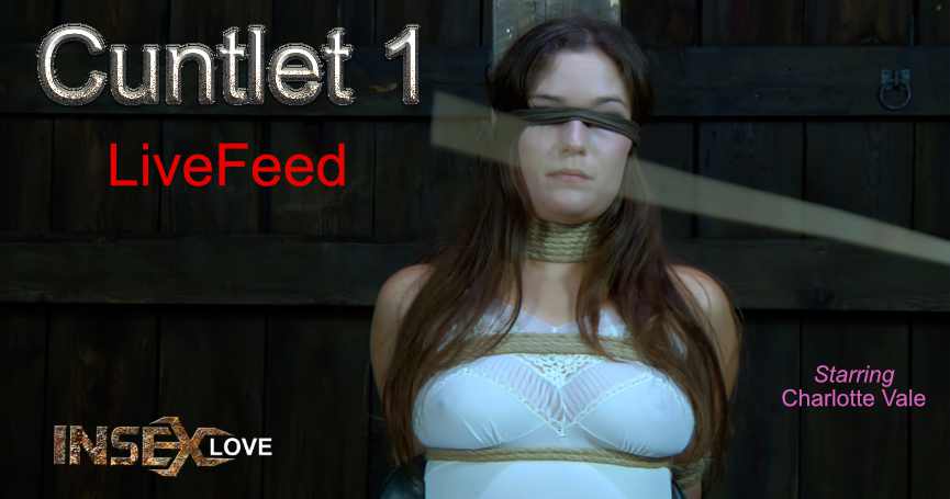 Cuntlet 1