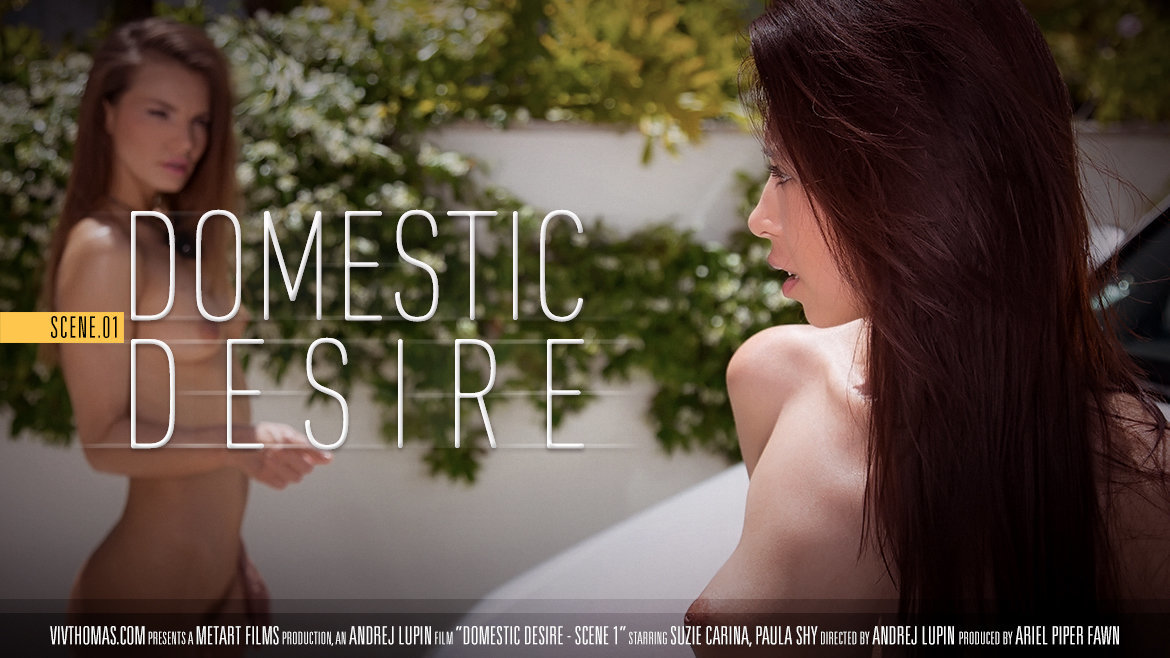 Domestic Desire Scene 1