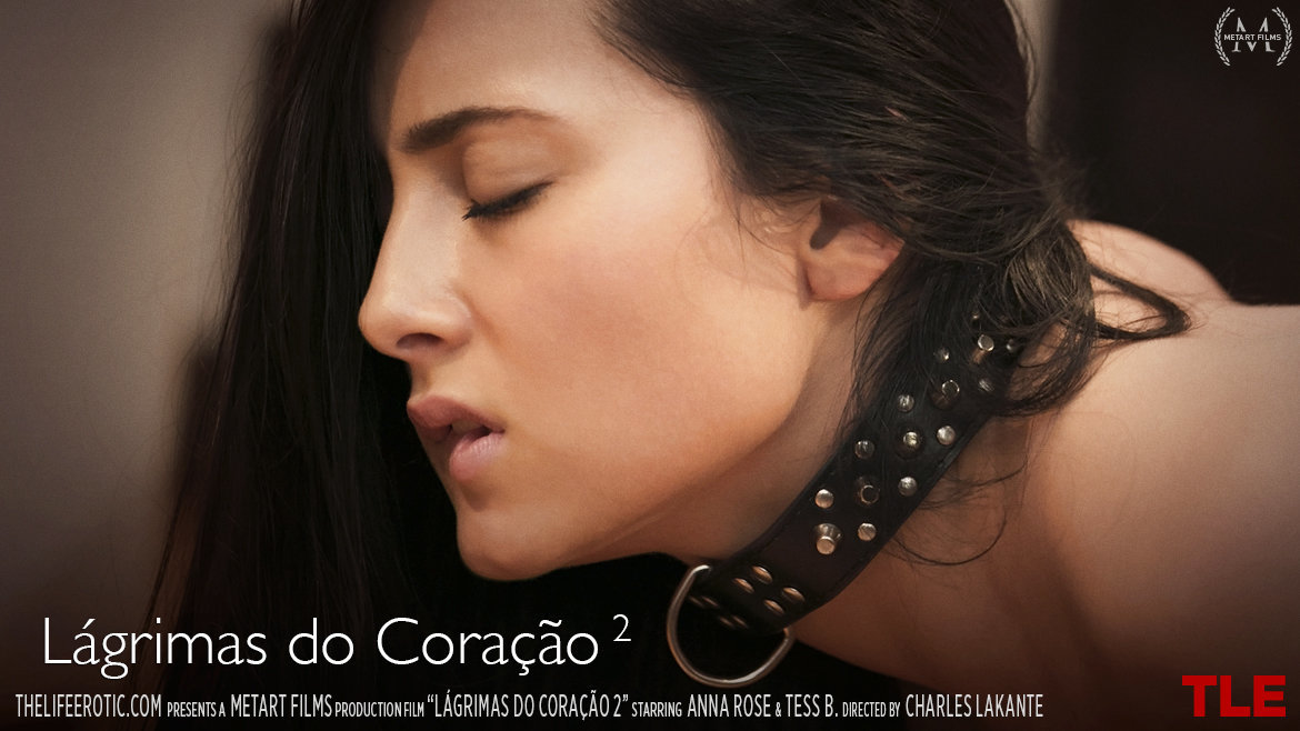 Lagrimas Do Coracao 2