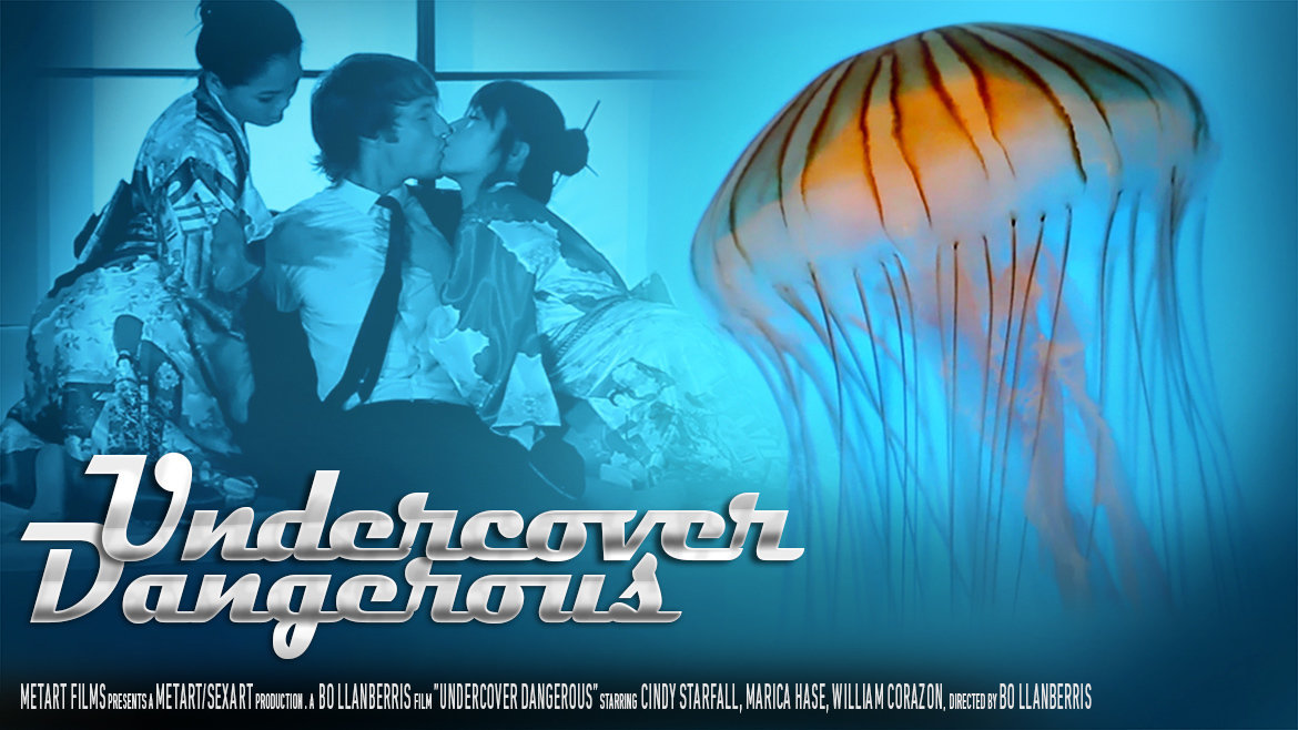Undercover Dangerous