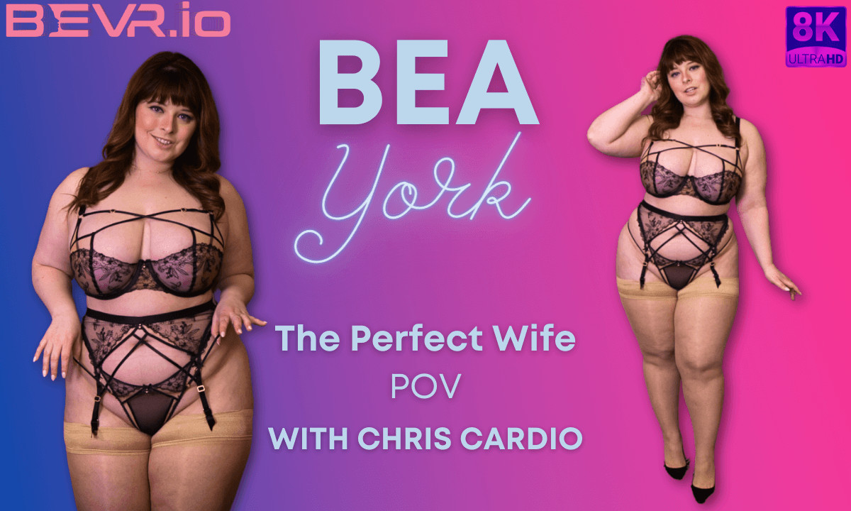 The Perfect Wife