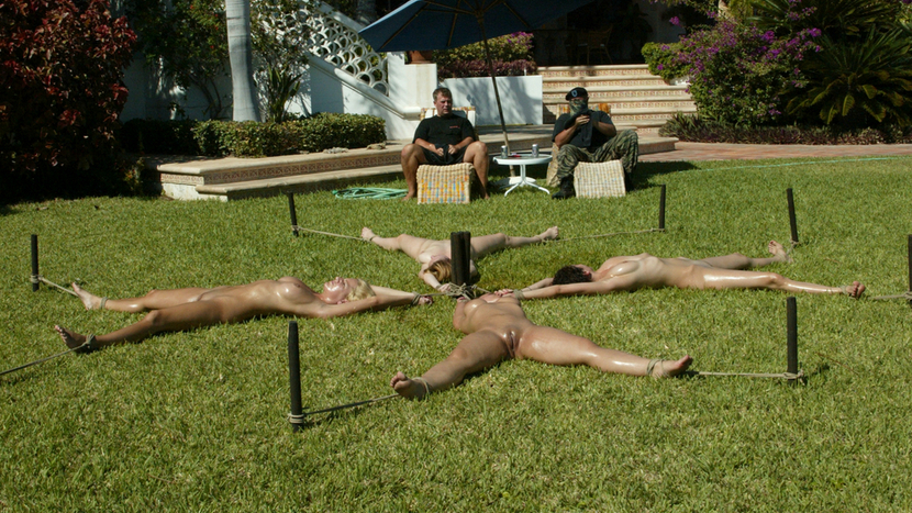 CABO, the Return. Part 10 - the Finale.