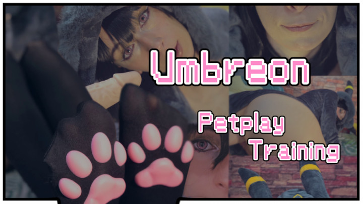 Umbreon Pokemon Training