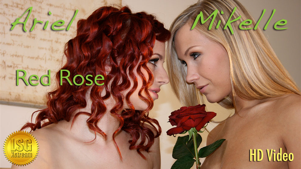 Red Rose