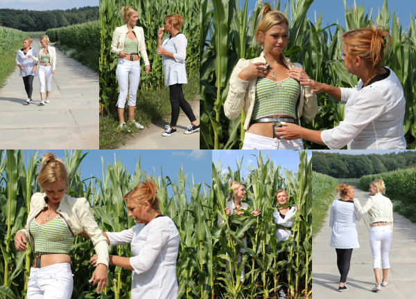 the corn fields