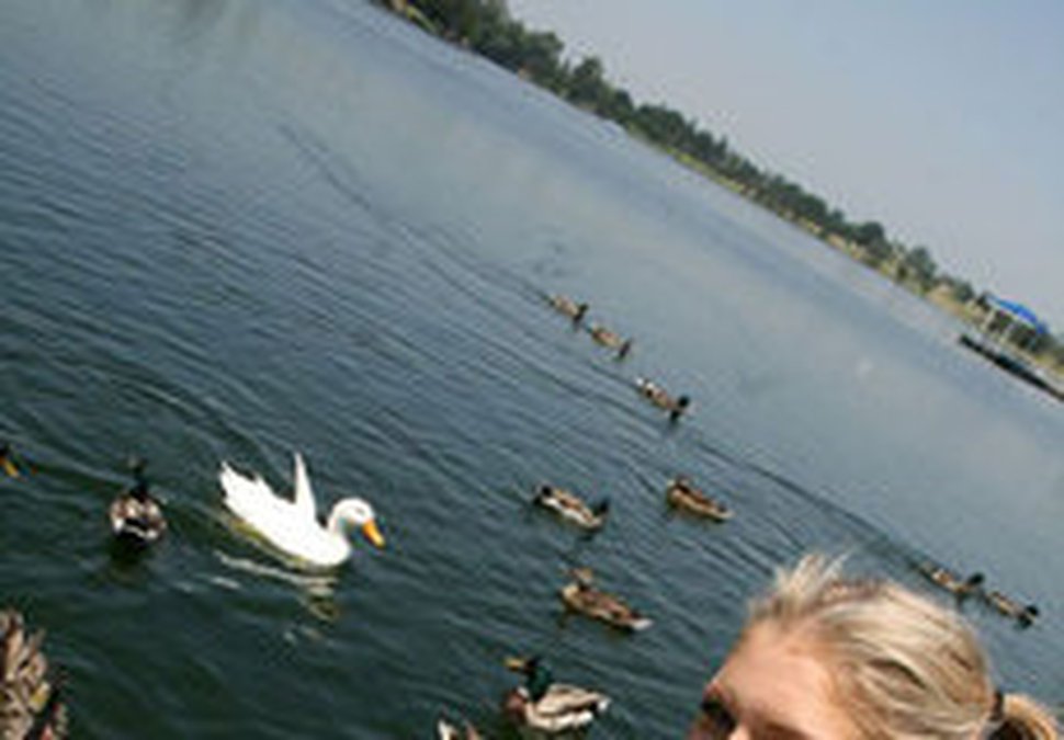 Duck Duck Fuck