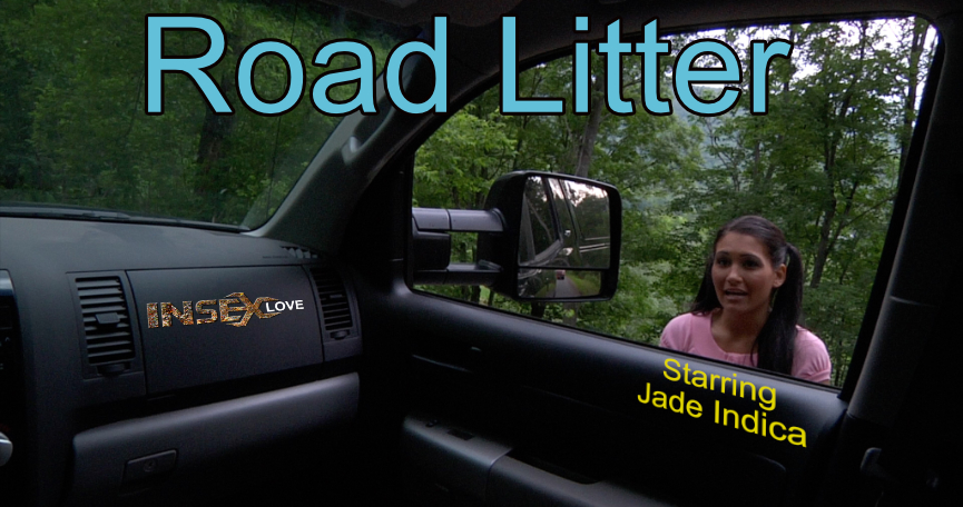 Road Litter