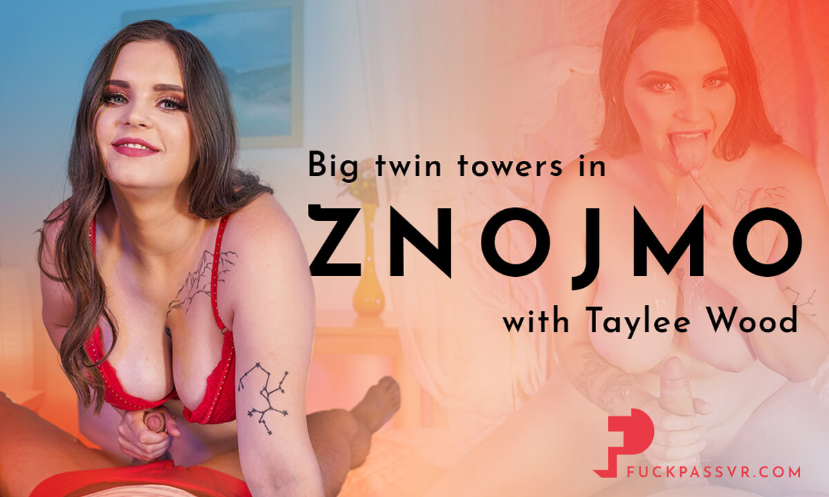 Big Twin Towers In Znojmo