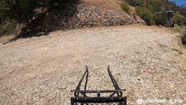 Pony Cart Ride
