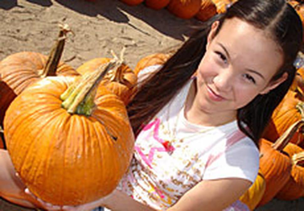 Pumpkin Patch Pussy