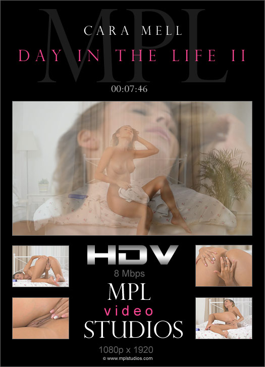 Day in the Life II