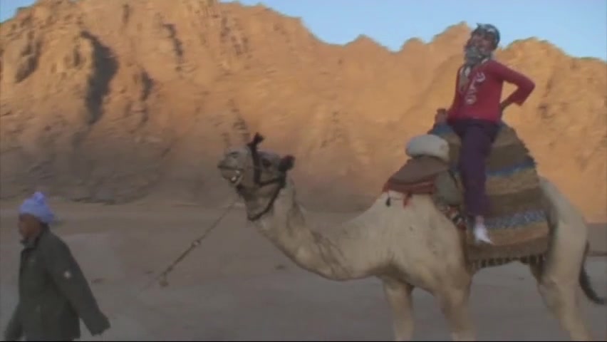 Desert Adventures