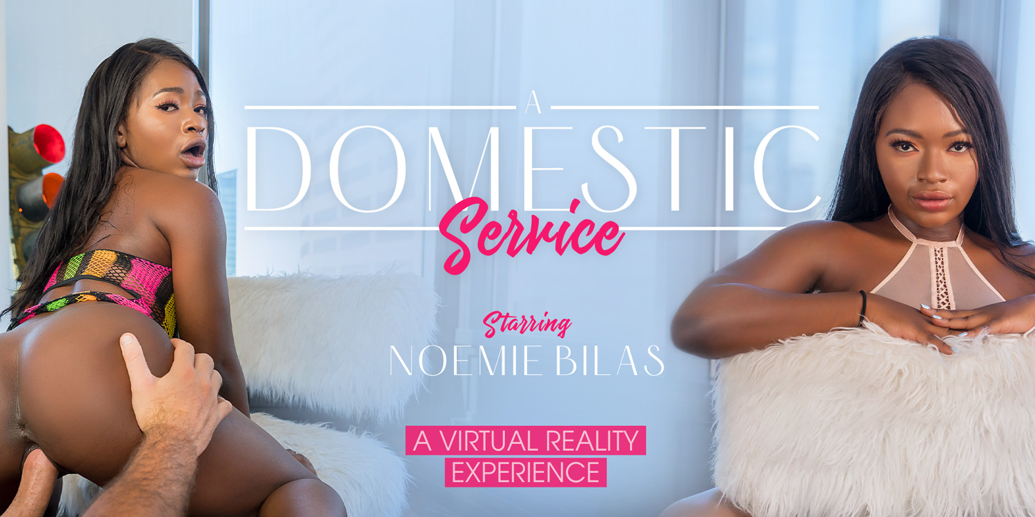 A Domestic Service