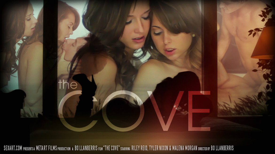 The Cove