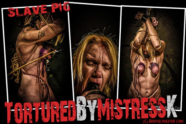 Slave Pig - Tortured By Mistress K