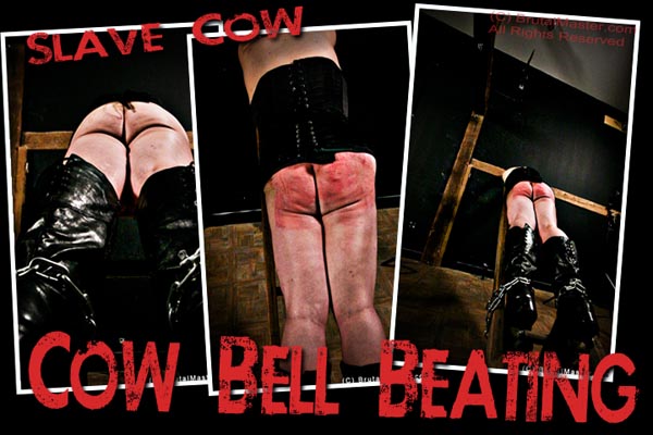 Slave Cow - Cow Bell Beating
