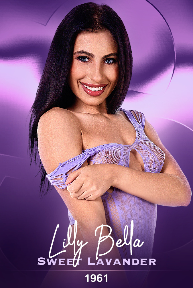 Sweet Lavender