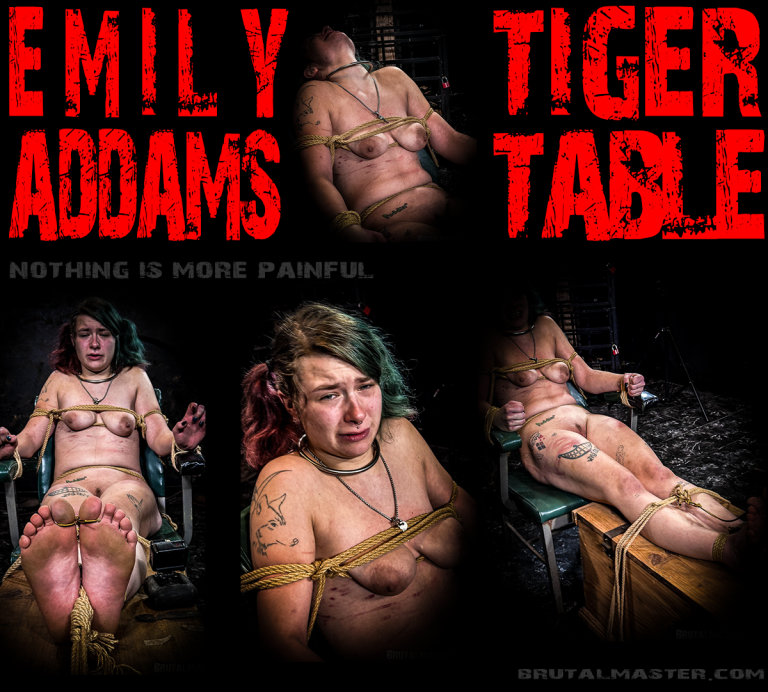 Tiger Table Torture (with interview)