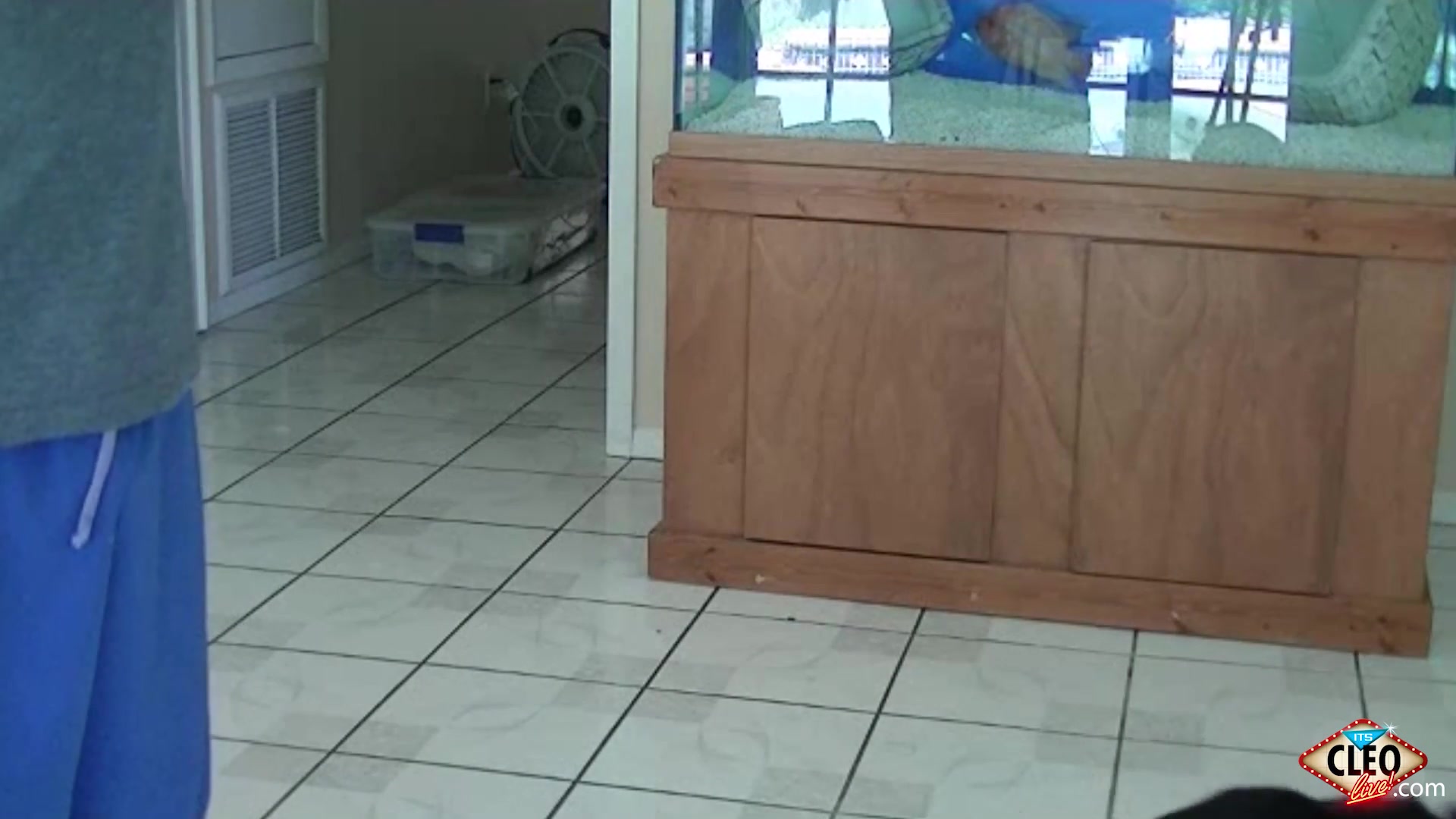 Slippery Handjob!