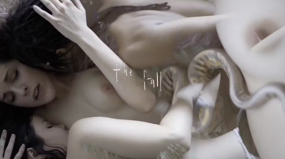The Fall