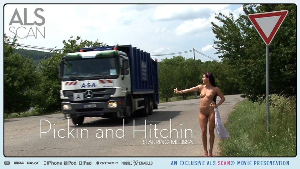 Pickin and Hitchin