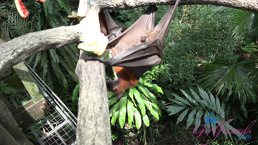 Victoria Says It's the Best Zoo in the World
