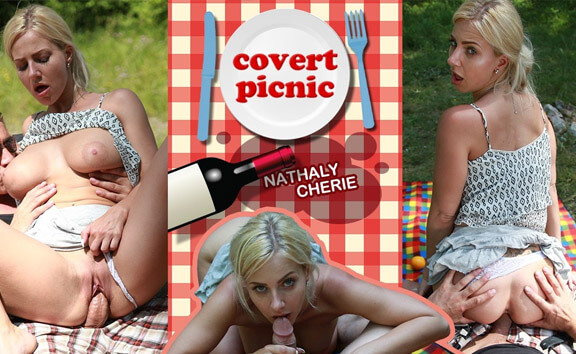 Covert Picnic