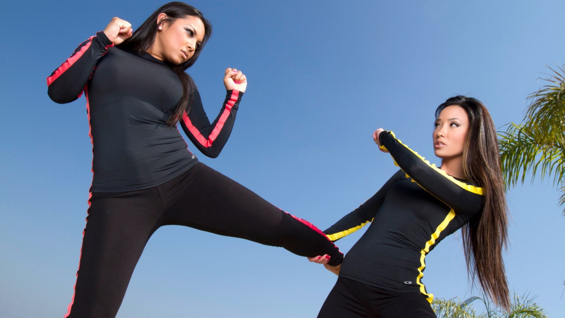 Kung Fu Vixens 1