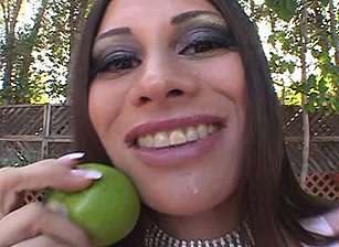 Latin POV #07
